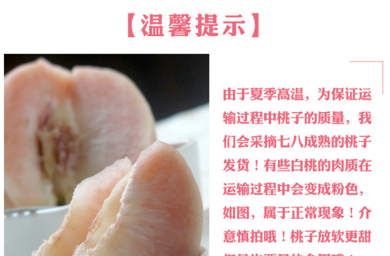 脆桃正宗山东白桃现摘现发毛桃硬桃脆甜不软桃子
