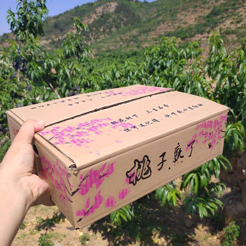 黄金毛蟠桃】沂蒙山蟠桃山东桃子新鲜5斤水果非纽扣蟠桃