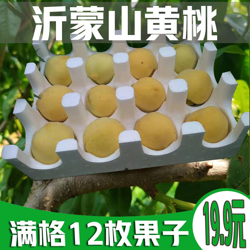 黄金毛蟠桃】沂蒙山蟠桃山东桃子新鲜5斤水果非纽扣蟠桃