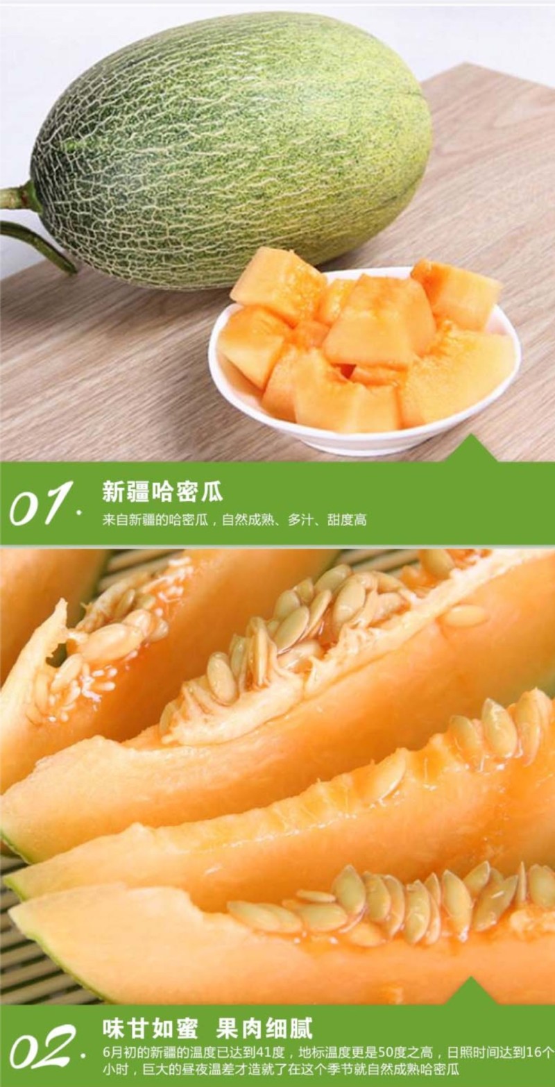 新疆哈密瓜西州蜜25号网纹5-6斤香甜多汁新鲜水果