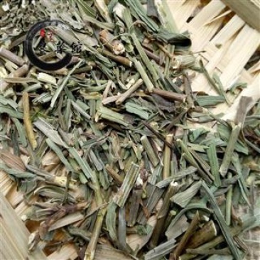 柴胡灿,产地直供道地药材,质优价实,品质保证,