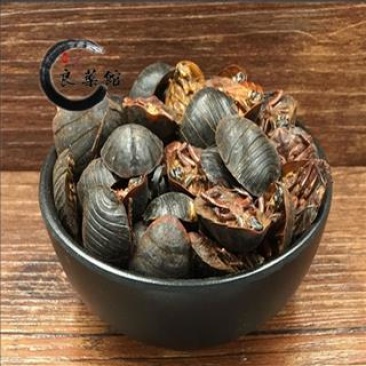 土鳖虫土鳖虫水洗腹，药典标准，质优价实，支持线上交易保