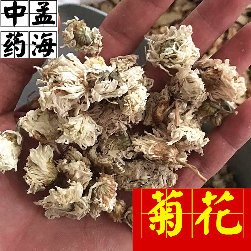 菊花河北菊花大统装供应大货产地直销实物图