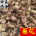 菊花河北菊花大统装供应大货产地直销实物图
