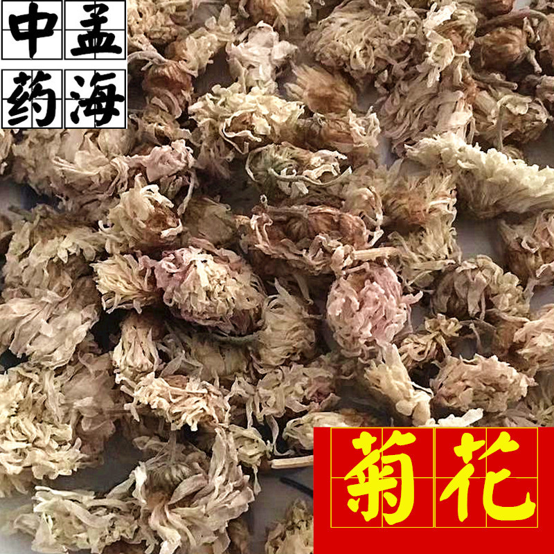 菊花河北菊花大统装供应大货产地直销实物图