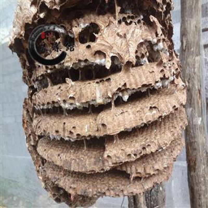 蜂房，产地四川，无硫磺***剂过药监，支持线上交易
