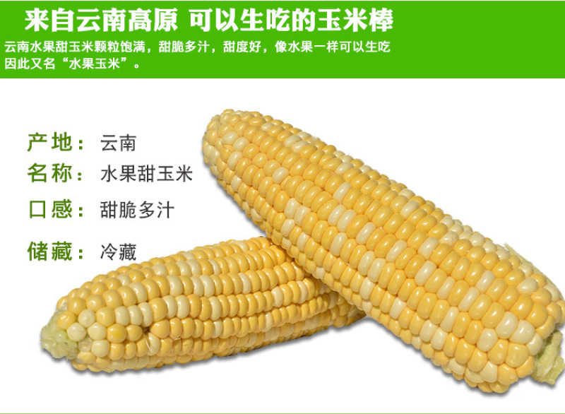 新鲜水果玉米5斤包谷甜脆生吃米棒云南特产新鲜甜玉米