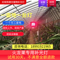 红皎阳激光植物补光灯火龙果生长灯大棚补光灯包邮