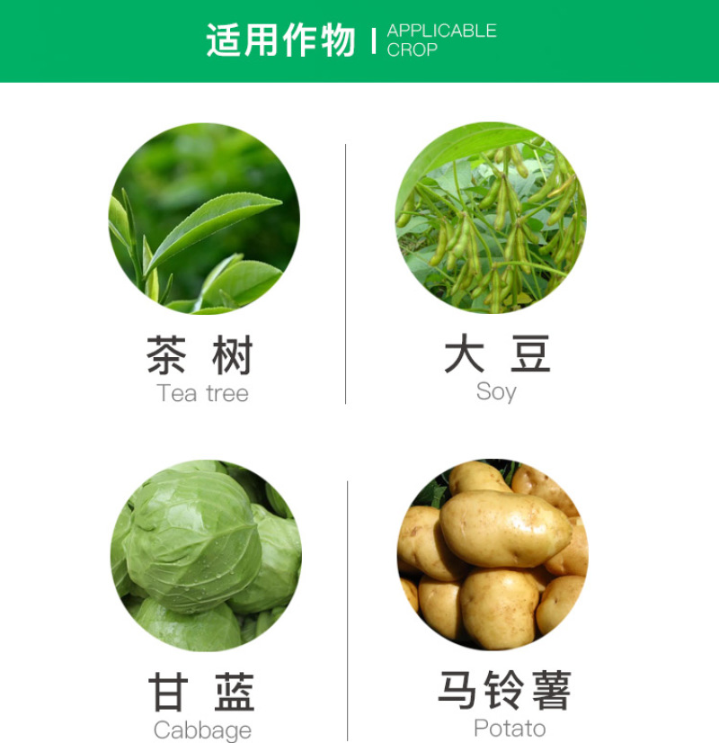 先正达阿立卡噻虫高氯氟蚜虫白粉虱杀虫剂进口药