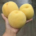 黄桃（黄金脆）