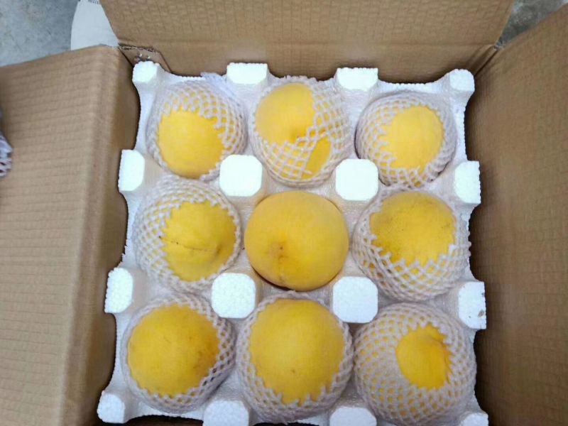 黄桃（黄金脆）
