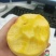 黄桃（黄金脆）