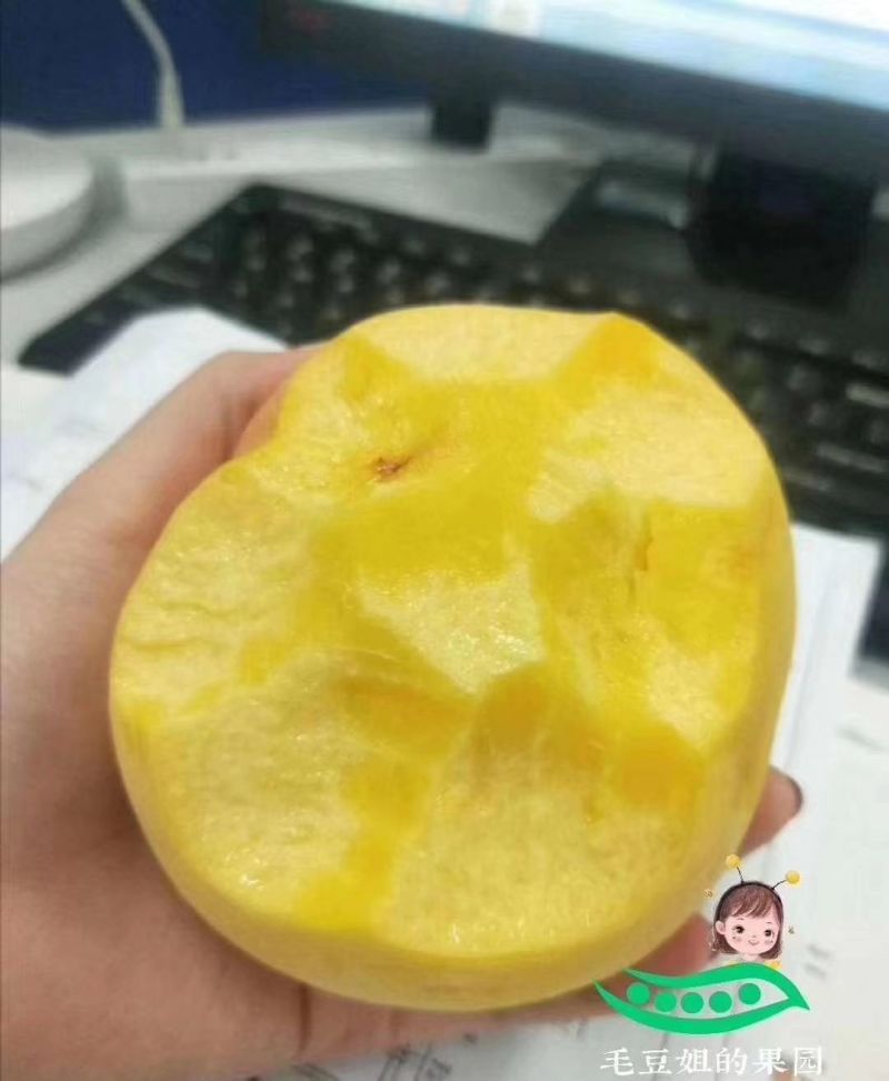 黄桃（黄金脆）