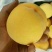 黄桃（黄金脆）