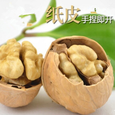 纸皮核桃500g新疆特产阿克苏温宿185纸皮核桃18年新货