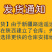 纸皮核桃500g新疆特产阿克苏温宿185纸皮核桃18年新货