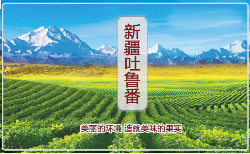树上黄葡萄干独立小包装30g黄提子干新疆特产手抓包零食
