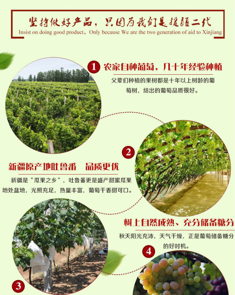 树上黄葡萄干独立小包装30g黄提子干新疆特产手抓包零食