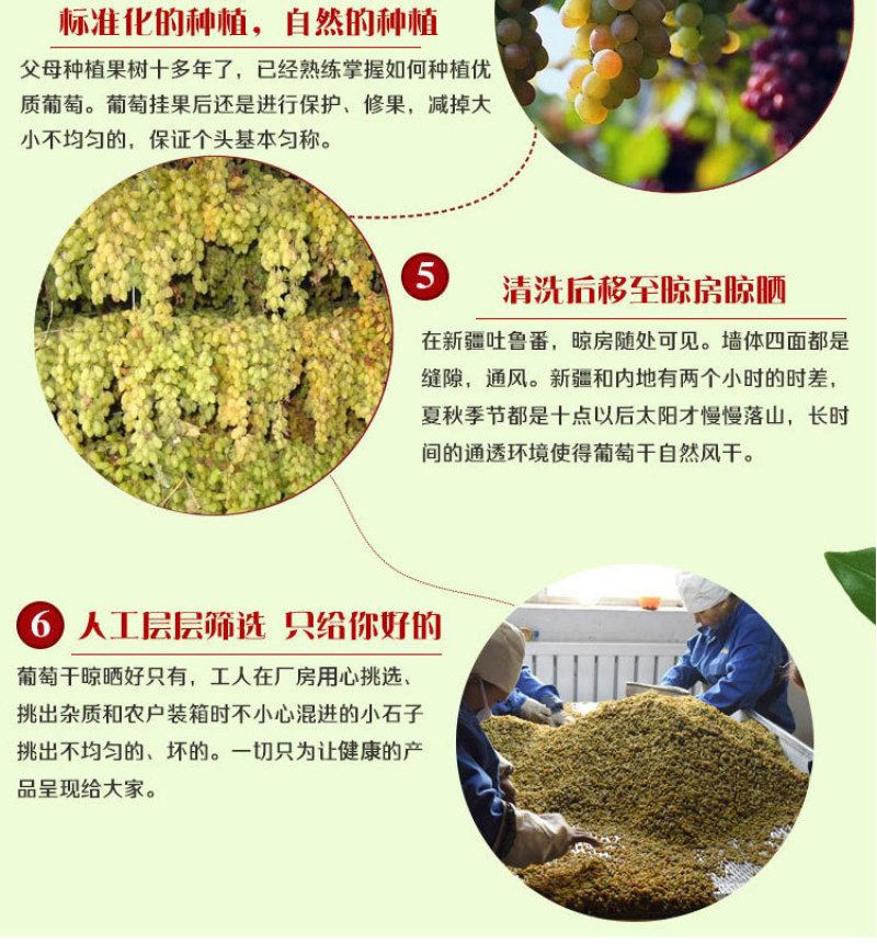 树上黄葡萄干独立小包装30g黄提子干新疆特产手抓包零食