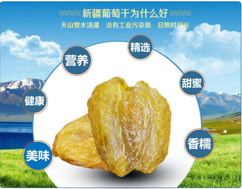 树上黄葡萄干独立小包装30g黄提子干新疆特产手抓包零食