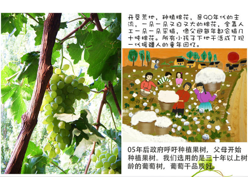 新疆特产北漠果业葡萄汇吐鲁番葡萄干6种葡萄干零食500g包