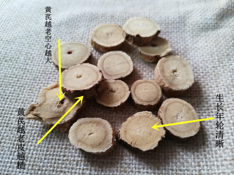 甘肃岷县产地直供无硫野生黄芪大片满10斤包邮