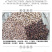 大粒精选生鹰嘴豆特级5斤新疆木垒县特产产地供应