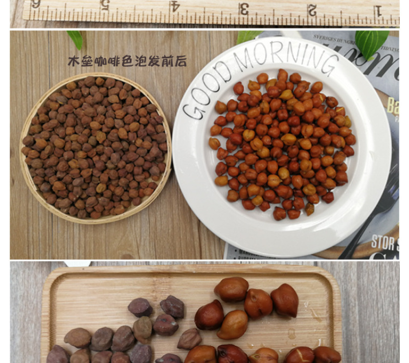 大粒精选生鹰嘴豆特级5斤新疆木垒县特产产地供应