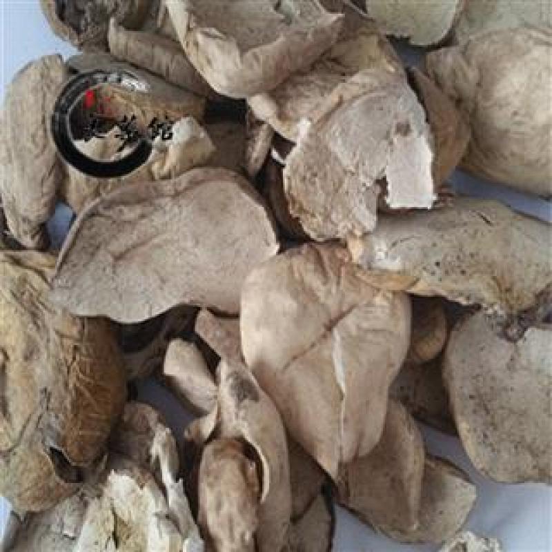 白马勃，产地四川直供道地药材，药典标准支持线上交易保障