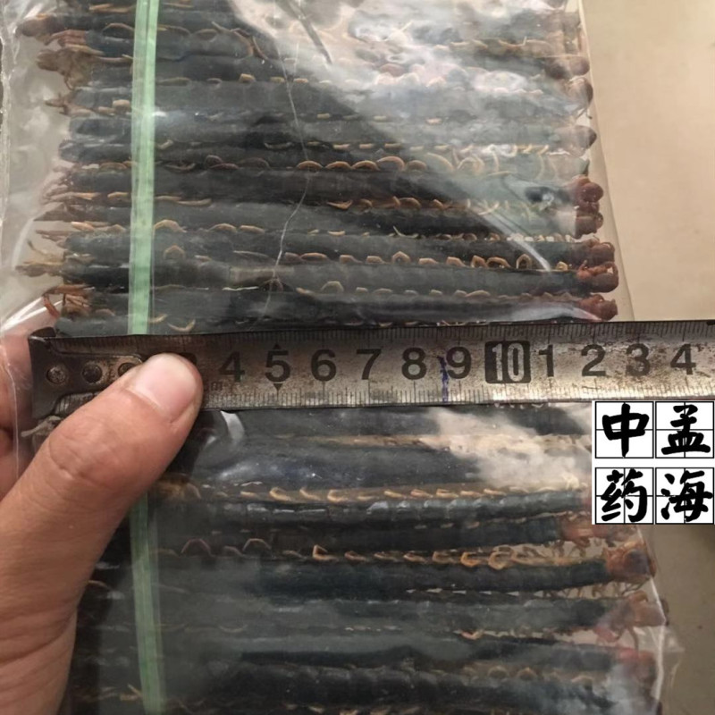 选条蜈蚣12-13cm无接条一件100条