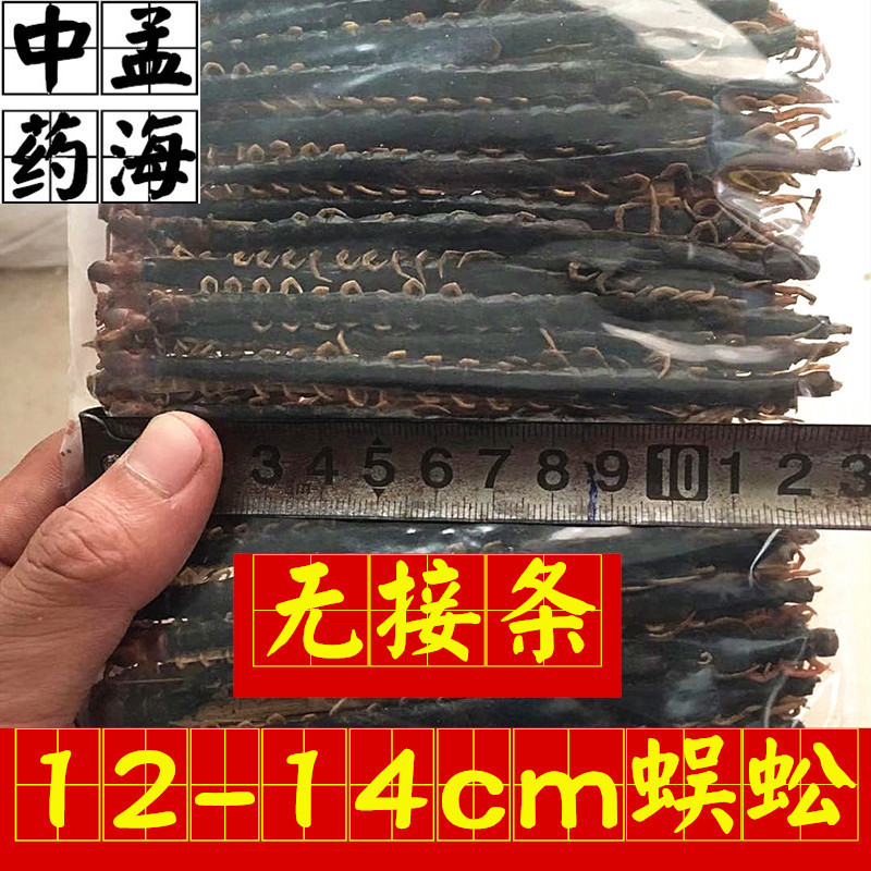 选条蜈蚣12-13cm无接条一件100条