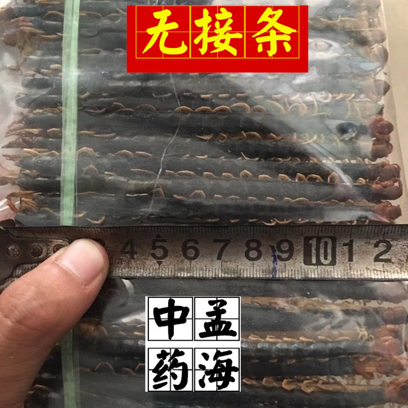 选条蜈蚣12-13cm无接条一件100条