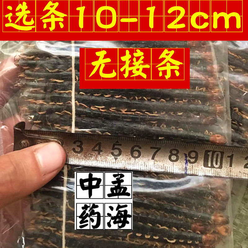 蜈蚣选条10-12cm无接条包邮
