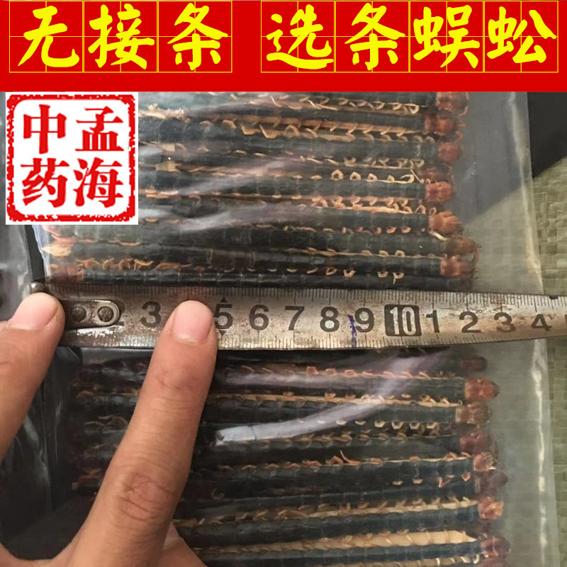 蜈蚣选条11-13cm无接条包邮