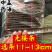 蜈蚣选条11-13cm无接条包邮