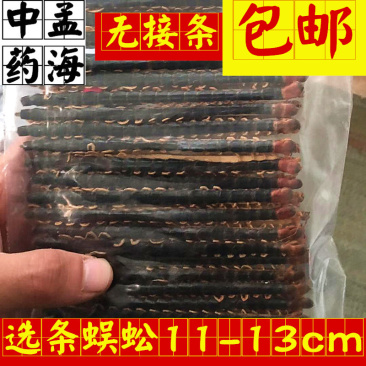 蜈蚣选条11-13cm无接条包邮