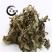 火炭母草，产地直供药典标准道地药材支持线上交易保障。