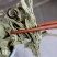 灵香草产地直供药典标准道地药材支持线上交易保障