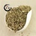 香薷草道地药材,质优价实,品质保证药典标准一公斤起批