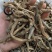 三白草根，道地药材，药典标准，质优价实，支持线上交易保障