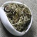 翻白草道地药材，质优价实，品质保证药典标准一公斤起批
