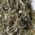 翻白草道地药材，质优价实，品质保证药典标准一公斤起批