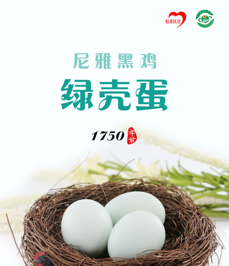 产地直销散养黑鸡鸡蛋新鲜绿壳鸡蛋土鸡蛋跑地鸡农家鸡蛋