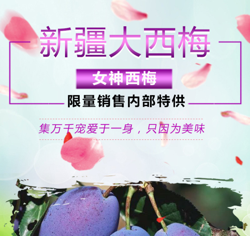 新疆大西梅女神西梅4斤顺丰包邮非黑布林法兰西当季新水果