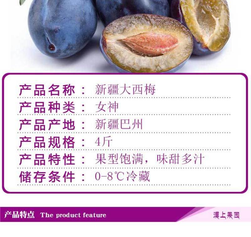 新疆大西梅女神西梅4斤顺丰包邮非黑布林法兰西当季新水果