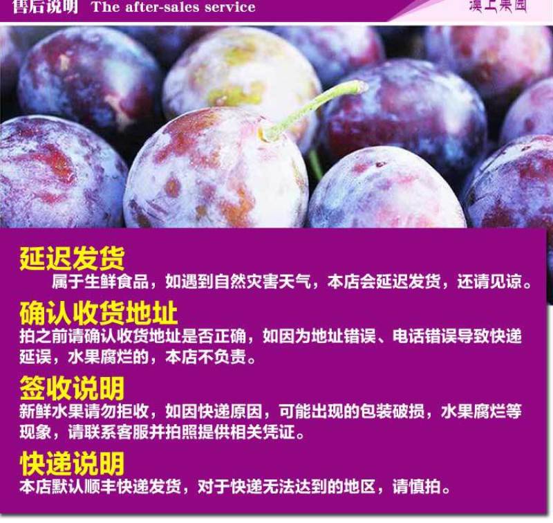 新疆大西梅女神西梅4斤顺丰包邮非黑布林法兰西当季新水果