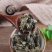 芙蓉叶，产地直供药典标准道地药材支持线上交易保障