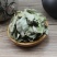 花生叶，产地四川，直道地药材，质优价实，品质保证药典标准