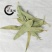 桉树叶，道地药材，质优价实，品质保证，药典标准，一公斤起