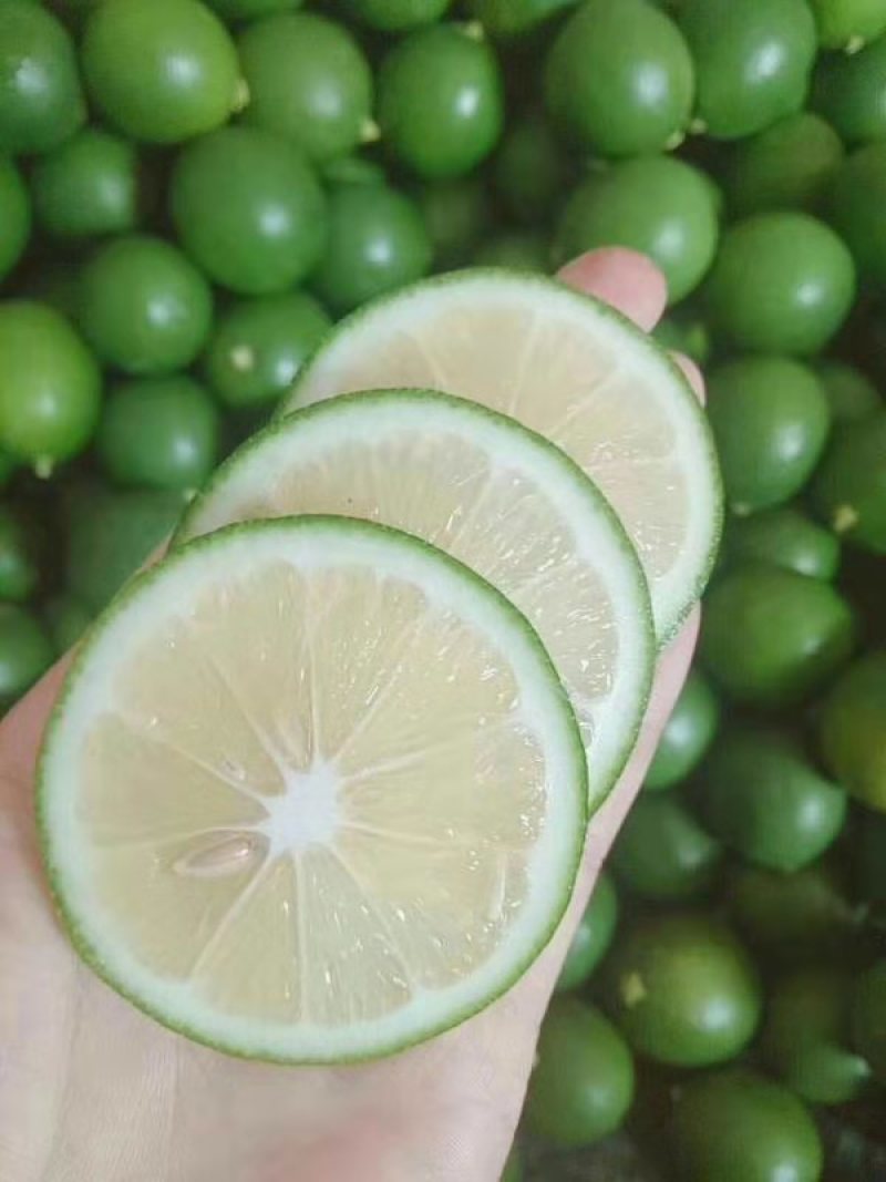 万州青柠檬